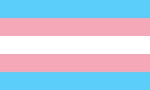 transgender vlag