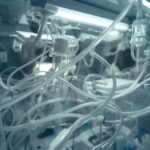 Acknowledging parents as primary caregivers